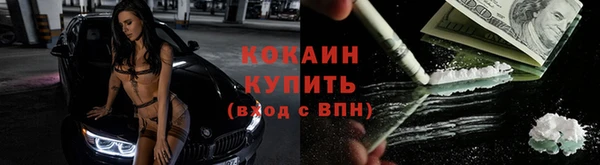 дмт Нея
