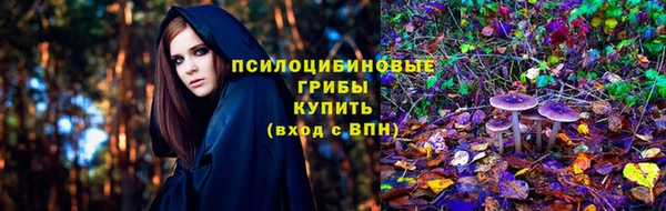 PSILOCYBIN Верхнеуральск