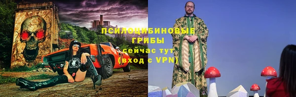 дмт Нея